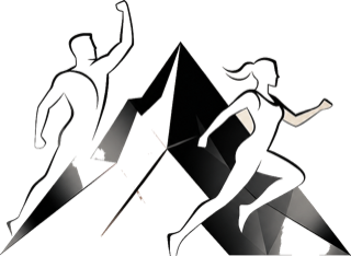 Pinnacle Atlas logo